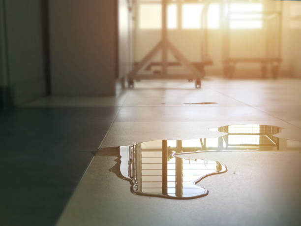 istockphoto 1505300205 612x612
